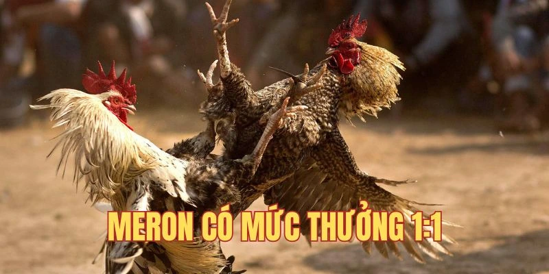 Meron có mức thưởng 1:1 khi chiến thắng